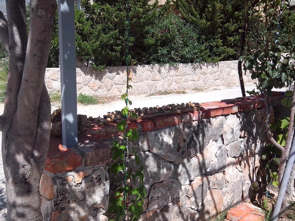 Apartman Lucija 塞利讷 外观 照片